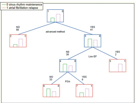 Fig. 1. Factors related to sinus rhythm maintenance