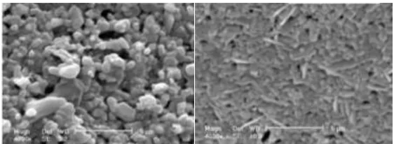 Figure 1.1 :Ceramic membrane structure prepared at different techniques 