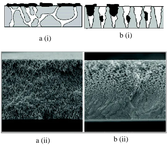 Figure 2.2 Schematic of membrane separation process [23] 