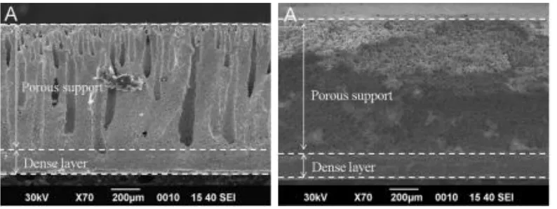 Figure 2.4: Asymmetric membrane structure via combined tape casting and phase 