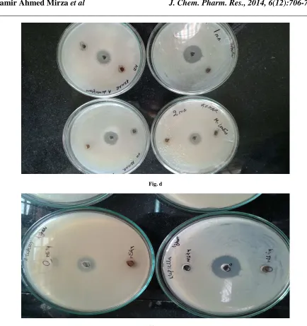 Fig. d   
