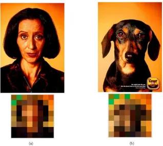 Figure 1.2: Two images having similar textures and color statistics but different insemantic meaning