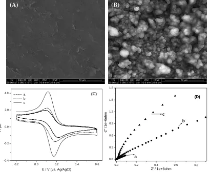 Fig. 1: SEM images of PGE (A) and HGNs/PGE (B); Cyclic voltammograms (C) and Nyquist plots (D) at gold electrode (a), PGE (b) and  HGNs/PGE (c), in 5 mM K3[Fe(CN)6] + 0.1M KCl solution