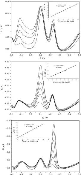Fig. 4. Differential pulse voltammograms at HGNs/PGE in 0.1M pH 7.0 PBS: (A) containing 40 µM UA and 50 µM DA and different E / V
