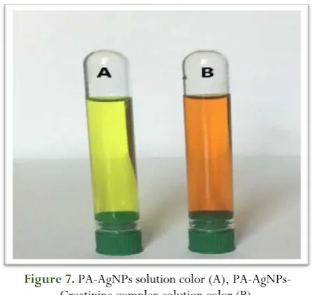 Figure 5. Representative TEM micrograph of AgNPs synthesized by Padina pavonica extract 
