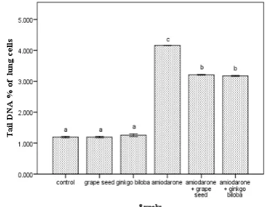Figure 1:  Tail DNA% in rat lung cells of all groups at the end of the experiment 