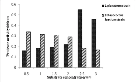 Figure 11: The effect of substrate concentration on protease 