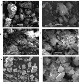 Figure 1. SEM images of Natural zeolite(a, b), Modified zeolite by HNO 3(c,d), Modified by NaOH(e,f)  