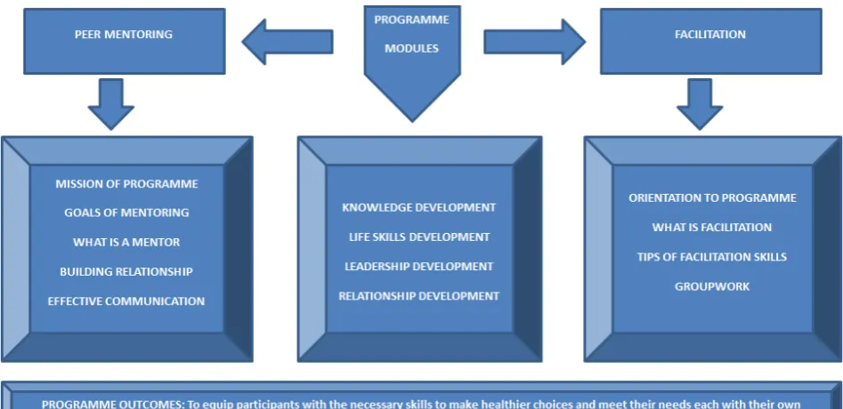 Figure 4.  Developing Youth 4 Paarl (DY4P) 