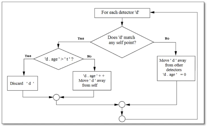 Figure 2.6: The Iterative Process of Real-Valued Negative Selection Algorithm 