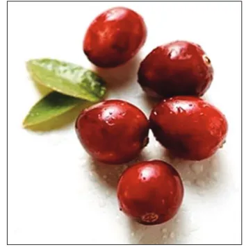 Figure 5: Cranberries