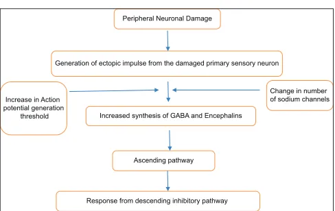 Figure 1: Pathophysiological interaction