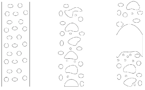 Figure 2.7: The flow regime observed in gas-liquid bubble column reactors: bubbly flow 