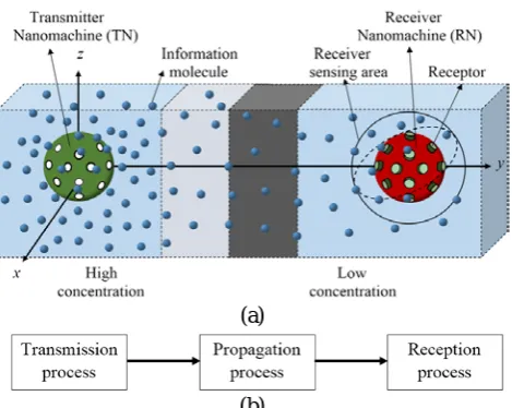 Figure 1: A unicast multilayer diffusion-based molecular (b) communication system: (a) a graphical representation and 
