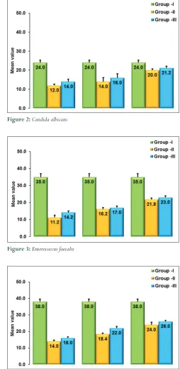 Figure 2: Candida albicans