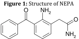 Figure 1:  Structure of NEPA 