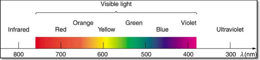 Figure 2.5: The visible light spectrum. 