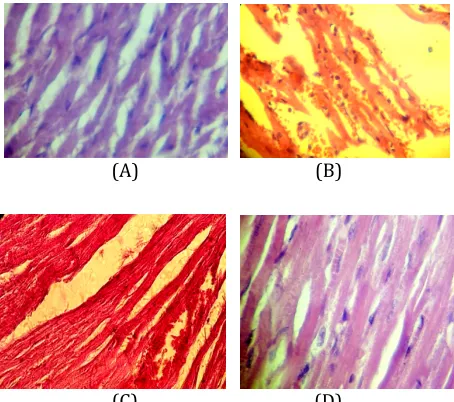 Figure 4: Total myocardial damage scores  