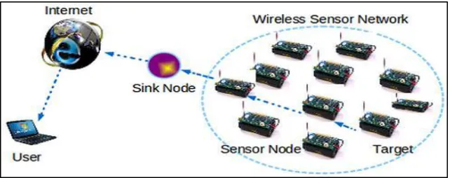 Figure 2.1: The Wireless Sensor Network scenario 