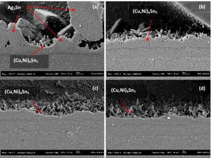 Figure 3: Cross section pictures for Ni/Au with Sn-4Ag-0.5Cu solder; after 200 cycles, mag 4000x; (a) thick Cu board middle, (b) thick Cu board edge, (c) thin Cu board middle, and (d) thin Cu board edge