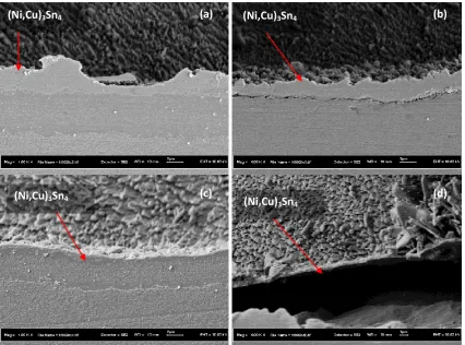 Figure 4: Cross section pictures for Ni/Au with Sn-4Ag-0.5Cu solder, after 1000 cycles, mag 4000x; (a) thick Cu board middle, (b) thick Cu board edge, (c) thin Cu board middle, and (d) thin Cu board edge
