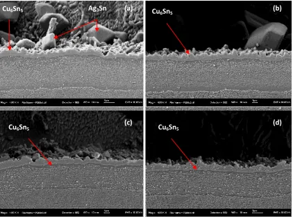 Figure 7: Cross section pictures for Ni/Pd/Au with Sn-4Ag-0.5Cu solder, solder size Ø 700 μm after 1000 cycles, mag 4000x; (a) thick Cu board middle, (b) thick Cu board edge, (c) thin Cu board middle, and (d) thin Cu board edge