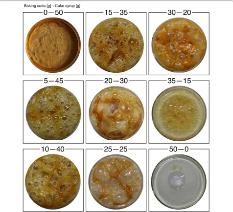 Fig. 2 Final surface morphology for each substrate composition. Detailed photographs are shown in Additional file 1: Figs