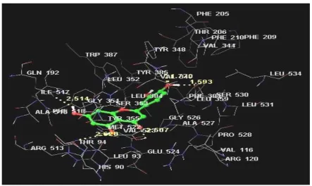 Fig. 2: It shows Luteolin docked into the pocket of COX-2 enzyme  