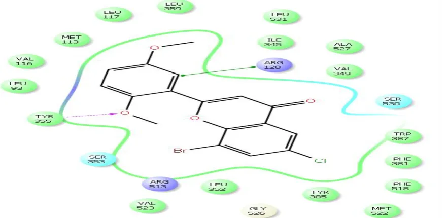 Fig 4: It shows compound fl7 docked into the active site of COX-2 enzyme  
