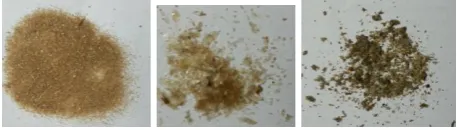 Fig 2: Images of extracted mucilage by method 1 (a), method 2 (b), and method 3 (c).  