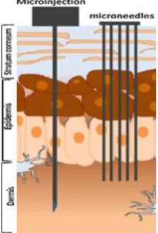 Fig. 1: Intradermal application of vaccines through microinjection and microneedles [4] 