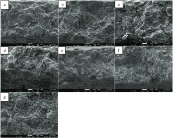 Figure 3. The electrical conductivity (σ) of (a) graphite/bioepoxy and graphite/epoxy, (b) graphite-polyamide 6/polycarbonate (PA6/PC) composites15 as a function of graphite weight loading (wt.%).