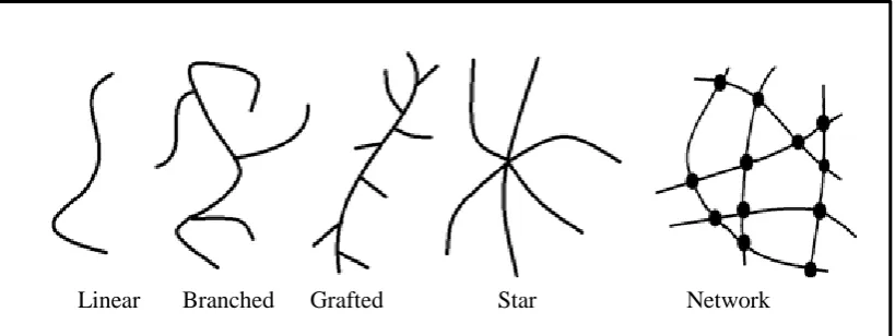 Figure 2.1 Polymers with linear and nonlinear chain architectures (Robyr, 2001). 