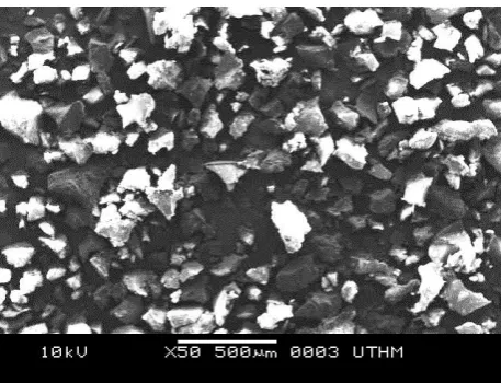 Figure 2.5: Particle structure of waste bio-polymer foam (Najibah, 2014) 