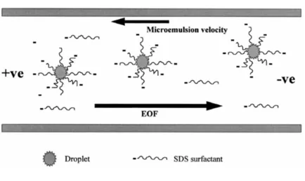 Fig.2: Schematic Illustration of the separation process in Micro emulsion electro kinetic chromatography for a neutral analyte in an alkaline micro emulsion stabilized by negatively charged Sodium dodecyl sulfate 