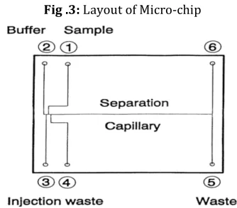 Fig .3: Layout of Micro-chip 
