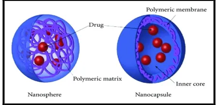 Figure 1: Types of polymeric nanoparticles 