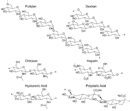 Figure 1: Structures of polysaccharides that are used in the development of micelle drug delivery systems