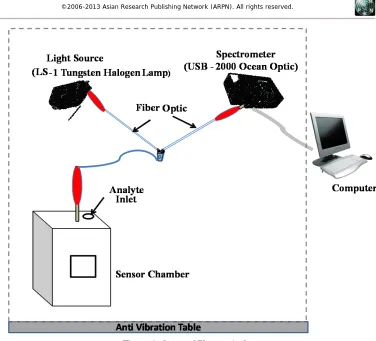 Figure 2: The optical probe in the duplex fiber optical  system 