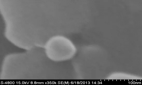Fig. 12: Scanning electron microphotograph of formulation F-2  