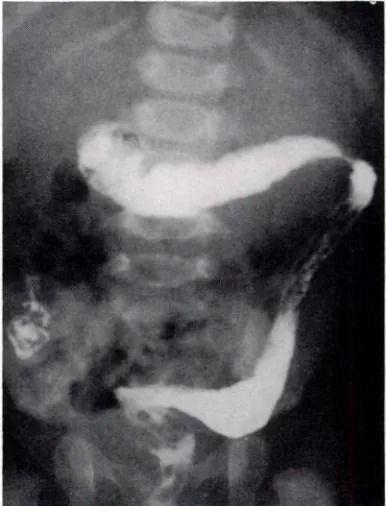 Fig.1).