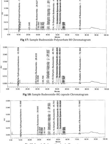 Fig 19: Sample Budesonide-placeboChromatogram 