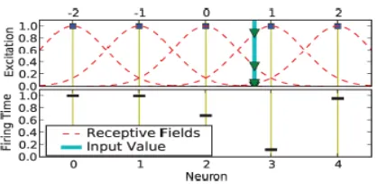 Figure 2-3: Illustration of population rank order coding (Abdul Hamed, 2012; Schliebs, Defoin-Platel, & Kasabov, 2009) 