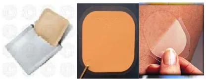 Figure 2: A Transdermal drug delivery patch  