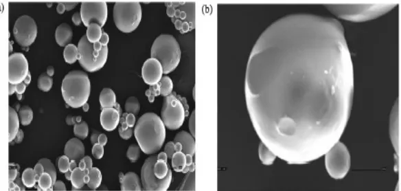 Fig 14:  Scanning electron micrograph of F6 formulation (a) group of microspheres and (b) single microsphere  