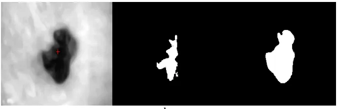 Fig 3 The SRG based region growing result (a. the seed point of the input image; c. the result with threshold 10; d