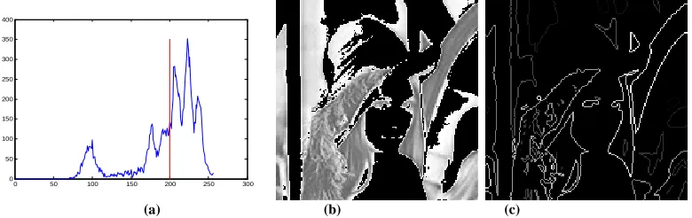 Fig 4  a is the histogram and the extraction of the first two-phase gray scale; b is the result of the extracted image; c is the LGIF segment  result of the image lower gray parts  