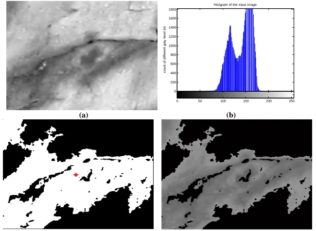 Fig 7 the main process of segmentation using region-growing, (a) rough image; (b) the rough image’s histogram; (c)the seed point and (c)                                                               (d) segmented region in binary image; (d) the region’s rough grayscale of image 