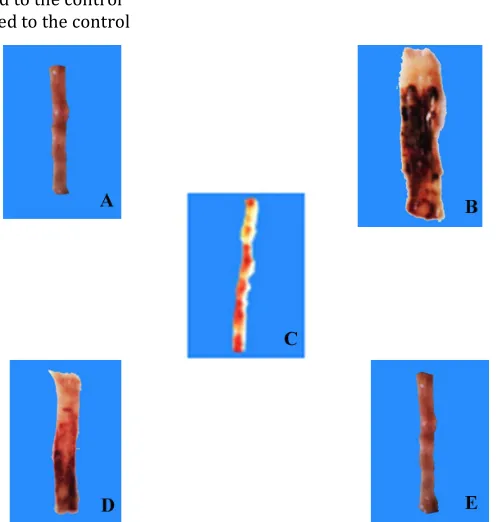 Table 1: Effect of Annona squamosa on acetic acid induced ulcerative colitis  