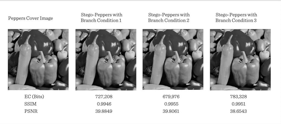 Figure 11 